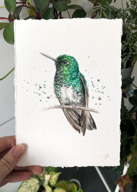 Hummingbird #19