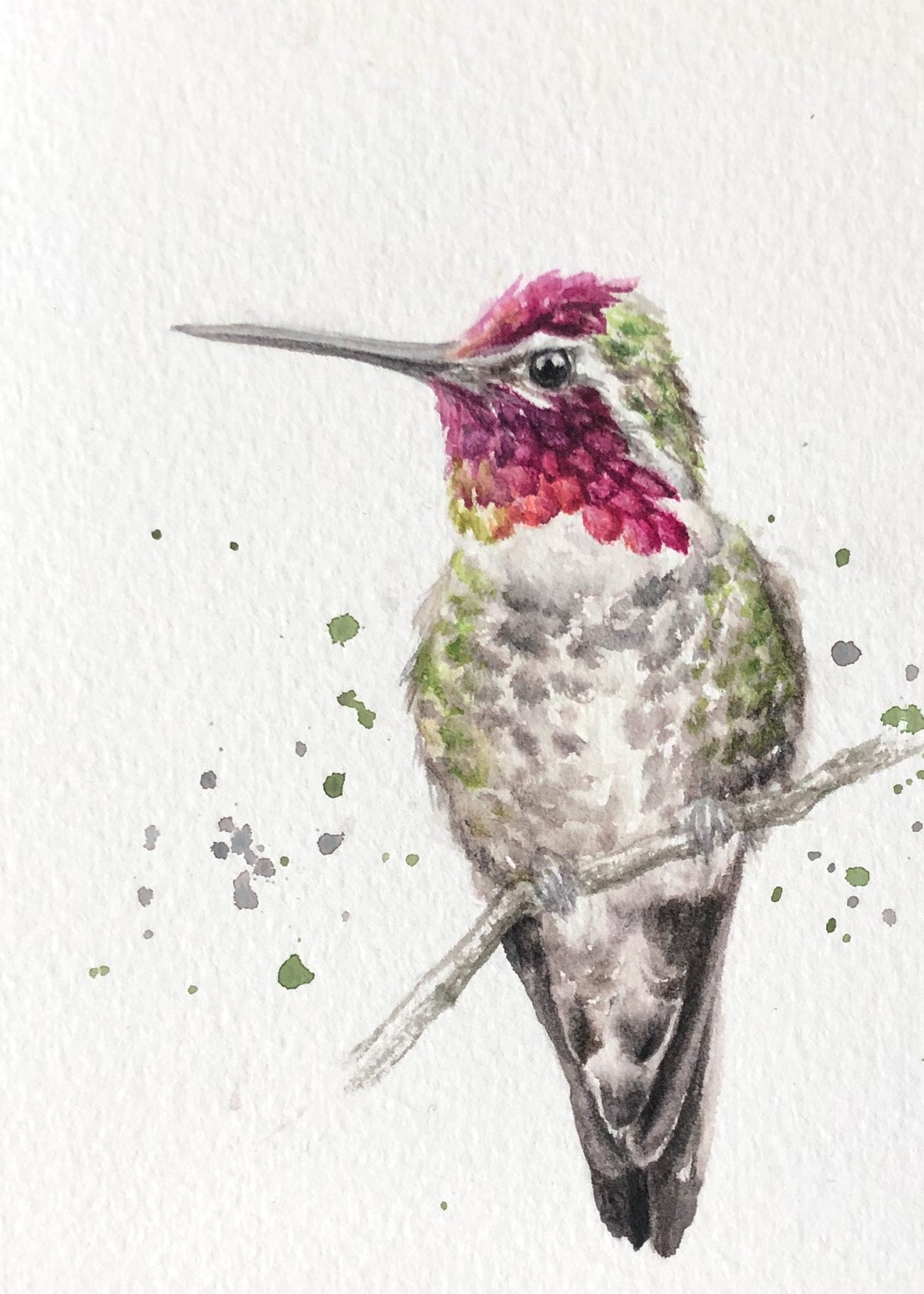 Hummingbird #20