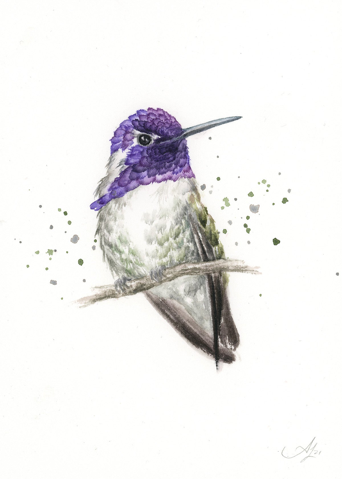 Hummingbird #21