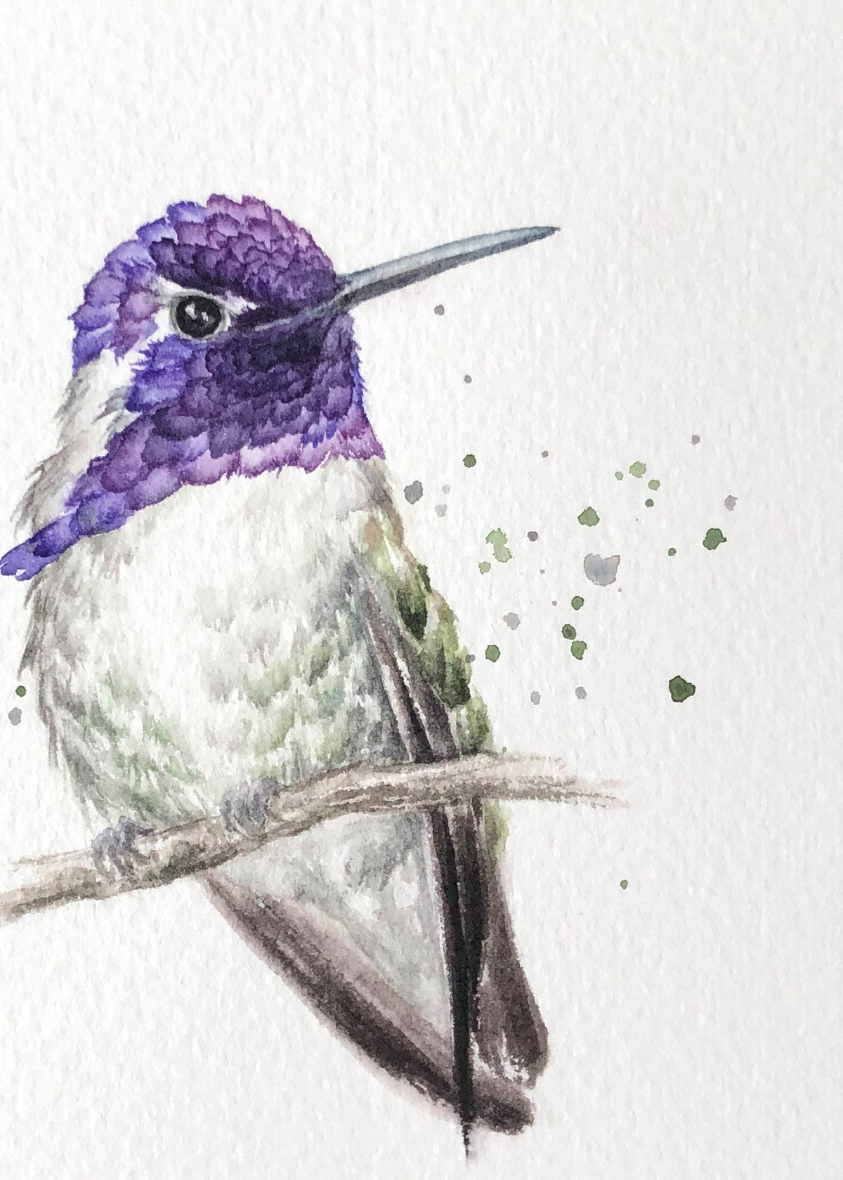 Hummingbird #21