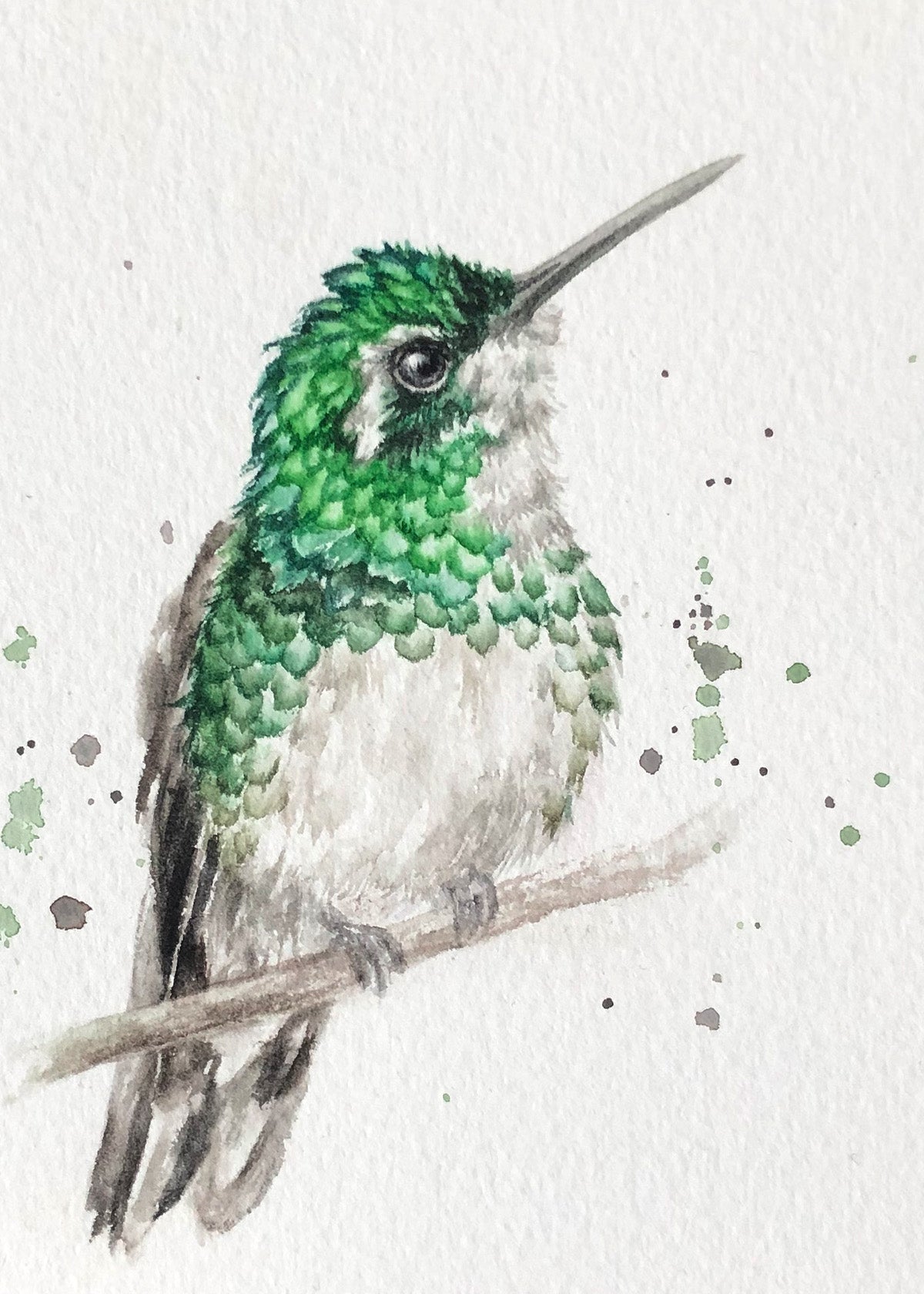 Hummingbird #22