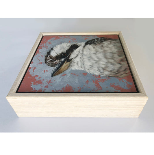 Kookaburra #2