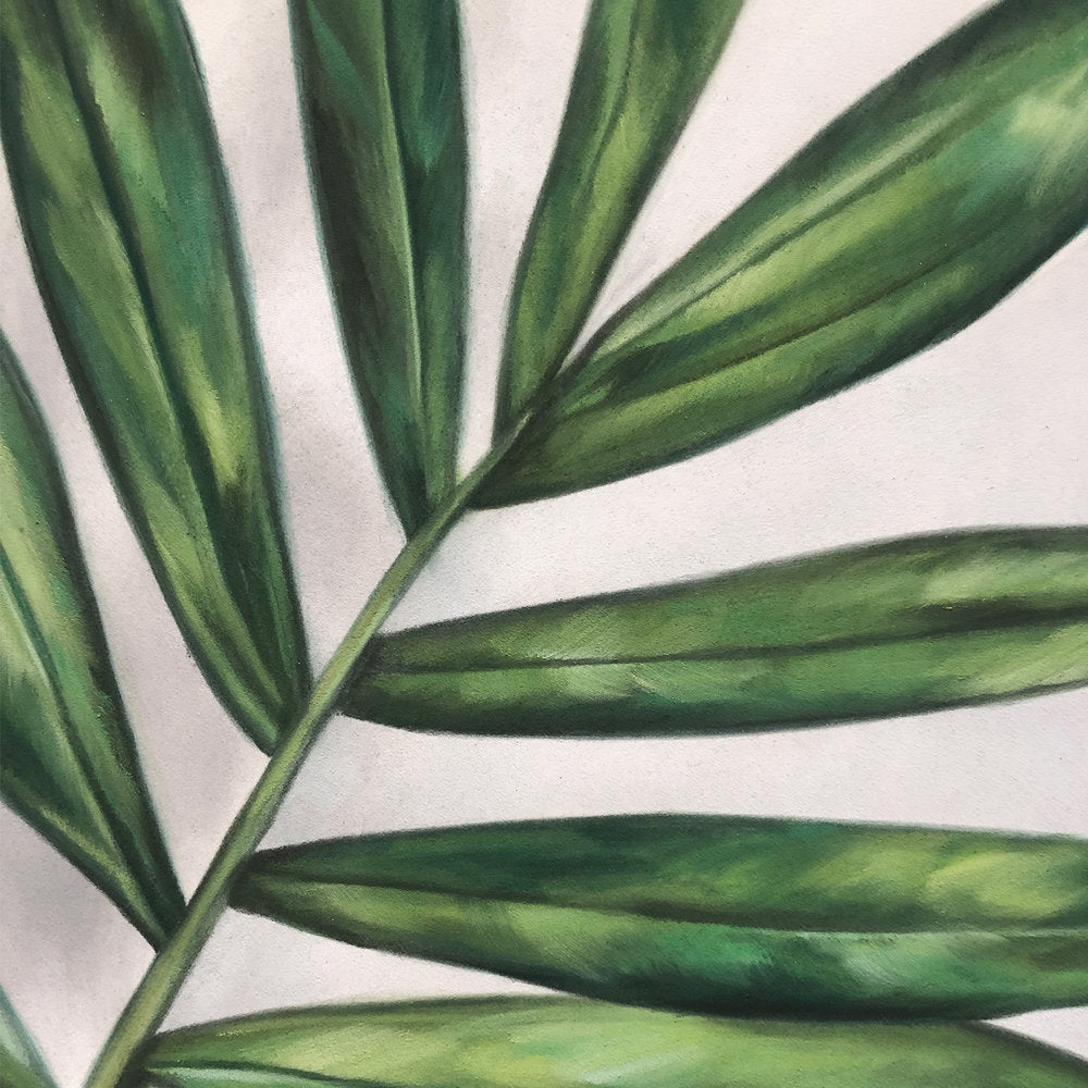 Parlour Palm - 16 x 20"