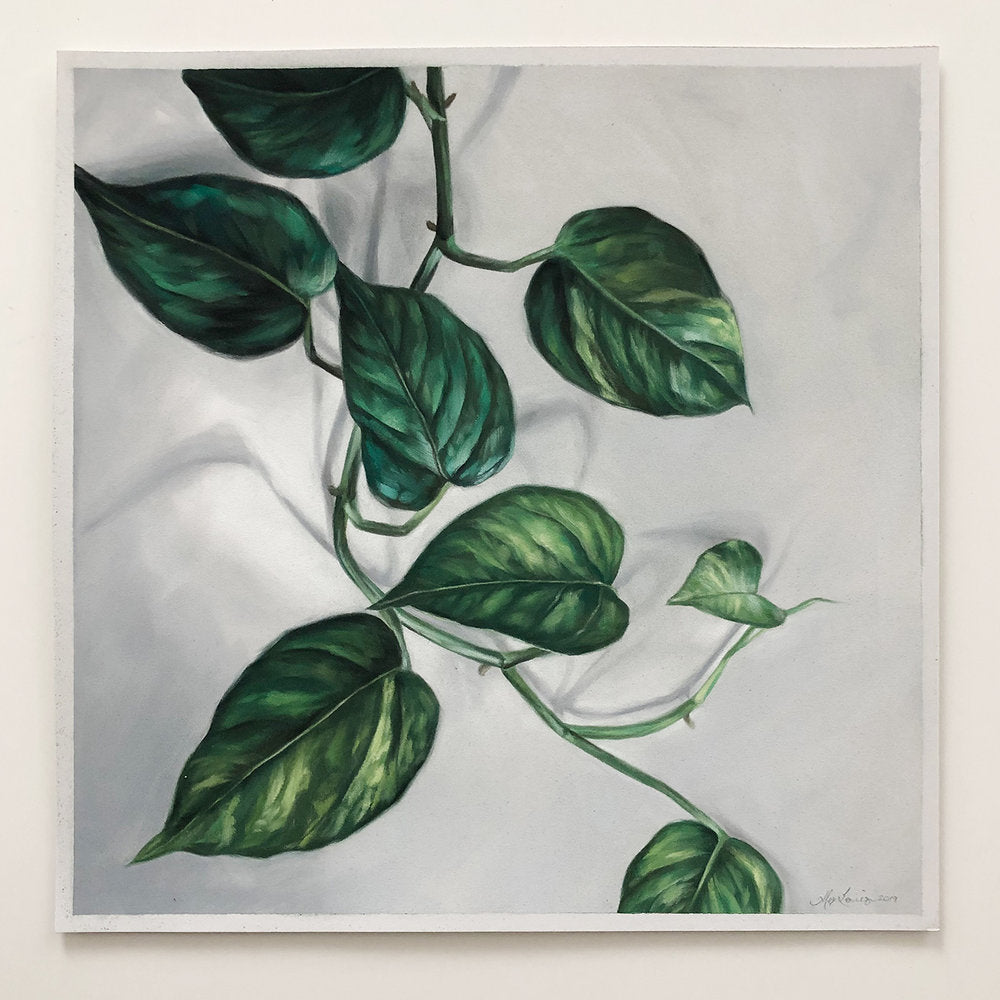 12 x 12" Pothos #1