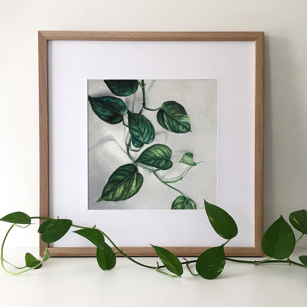 12 x 12" Pothos #1