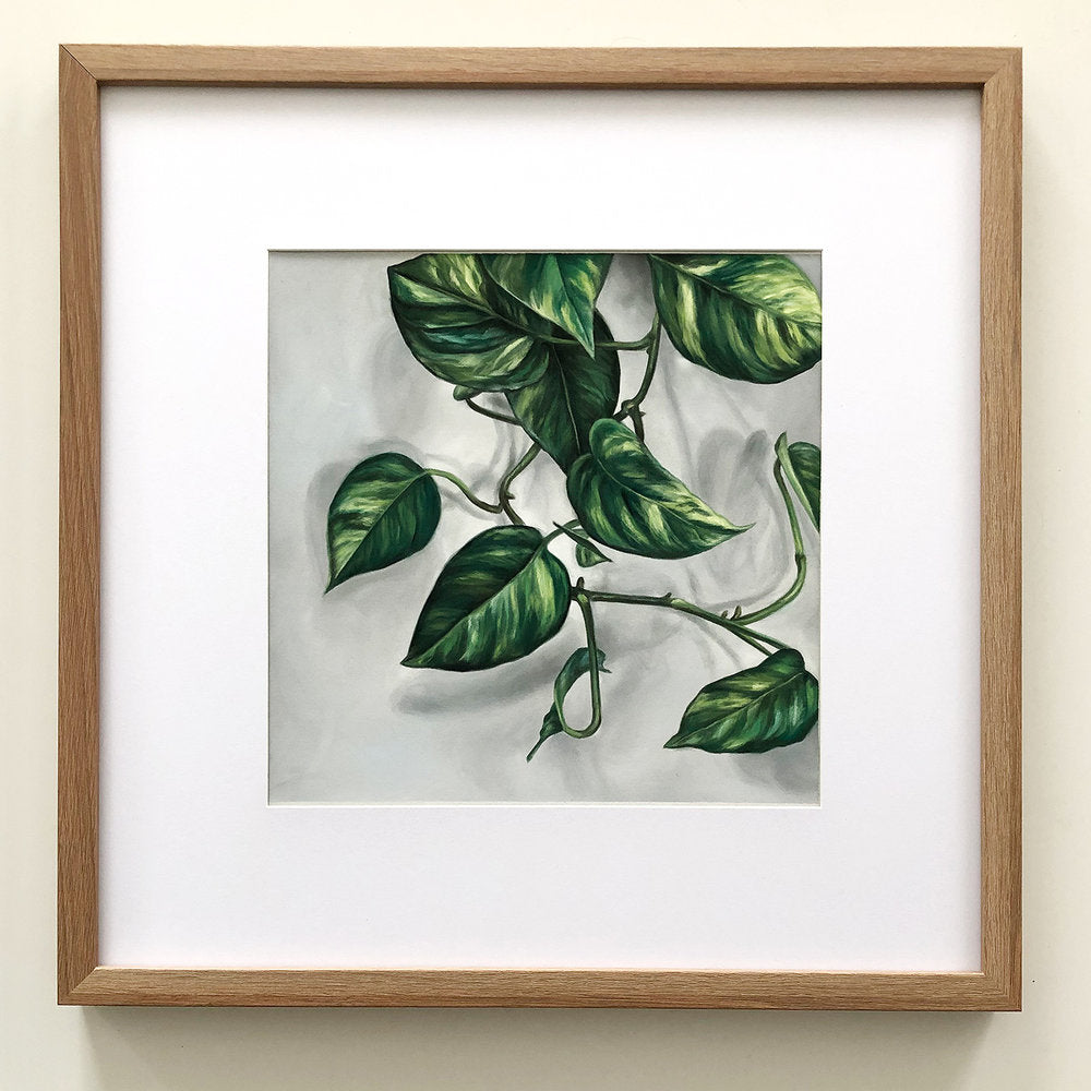 12 x 12" Pothos #2