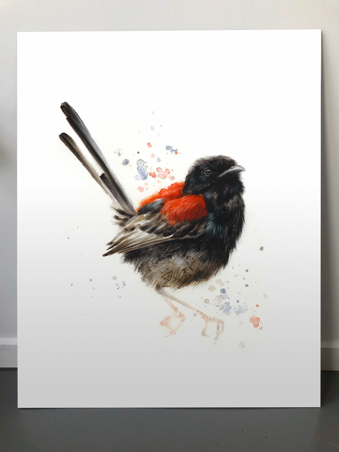 Red-backed Fairywren - 16 x 20"