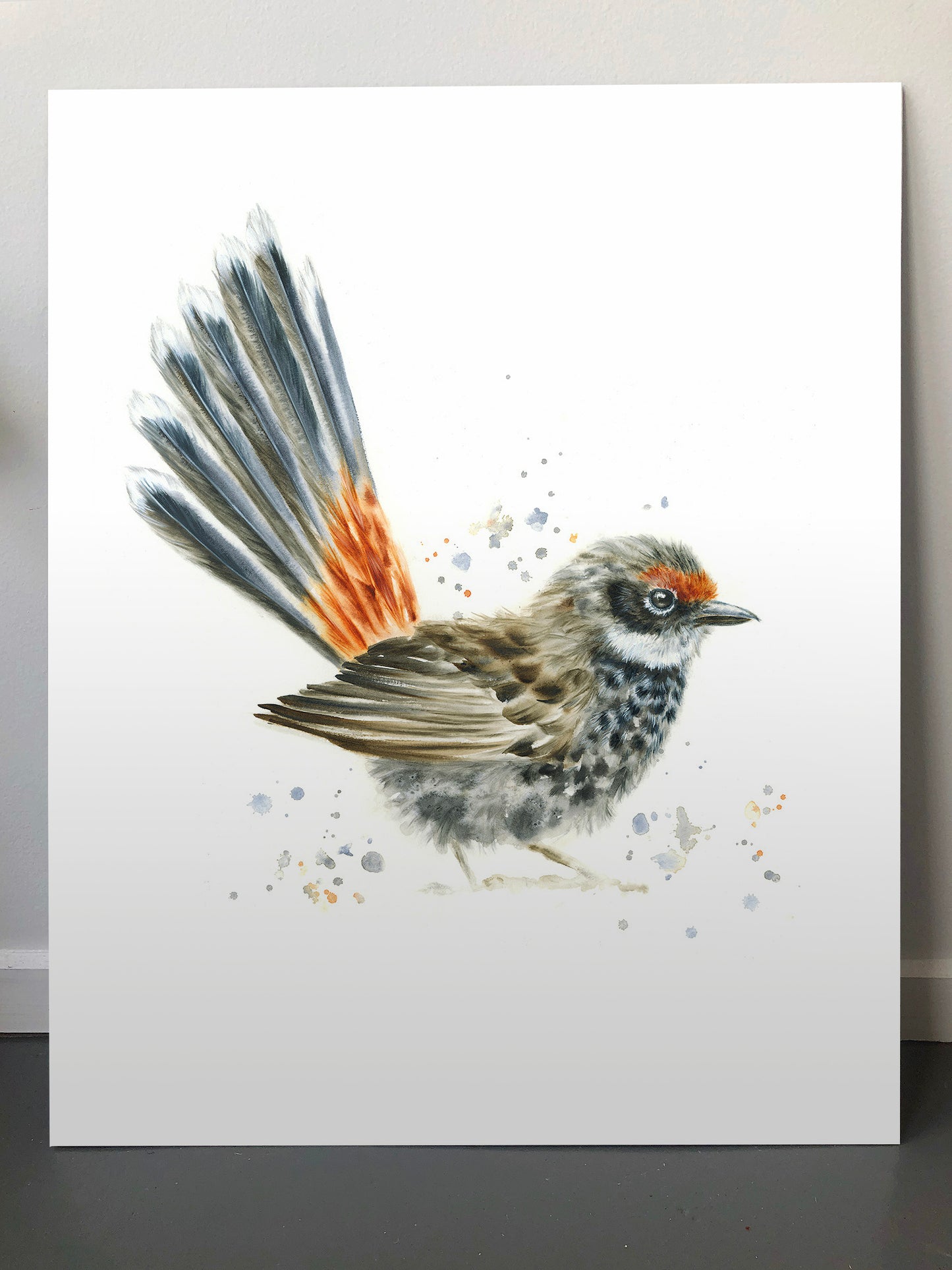 Rufous Fantail - 16 x 20"