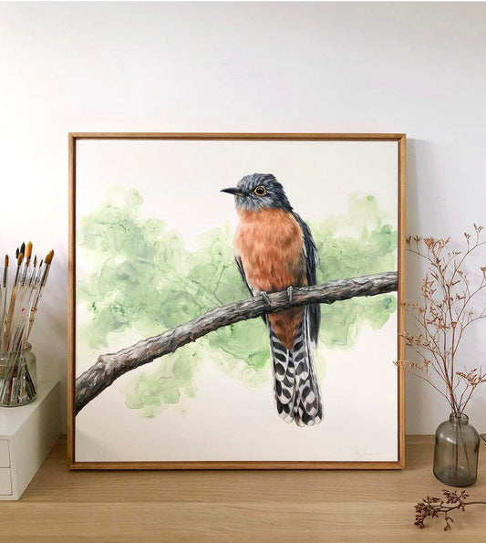 Fan-tailed Cuckoo - 25 x 25"