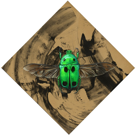 Green Scarab Beetle - 11 x 11"