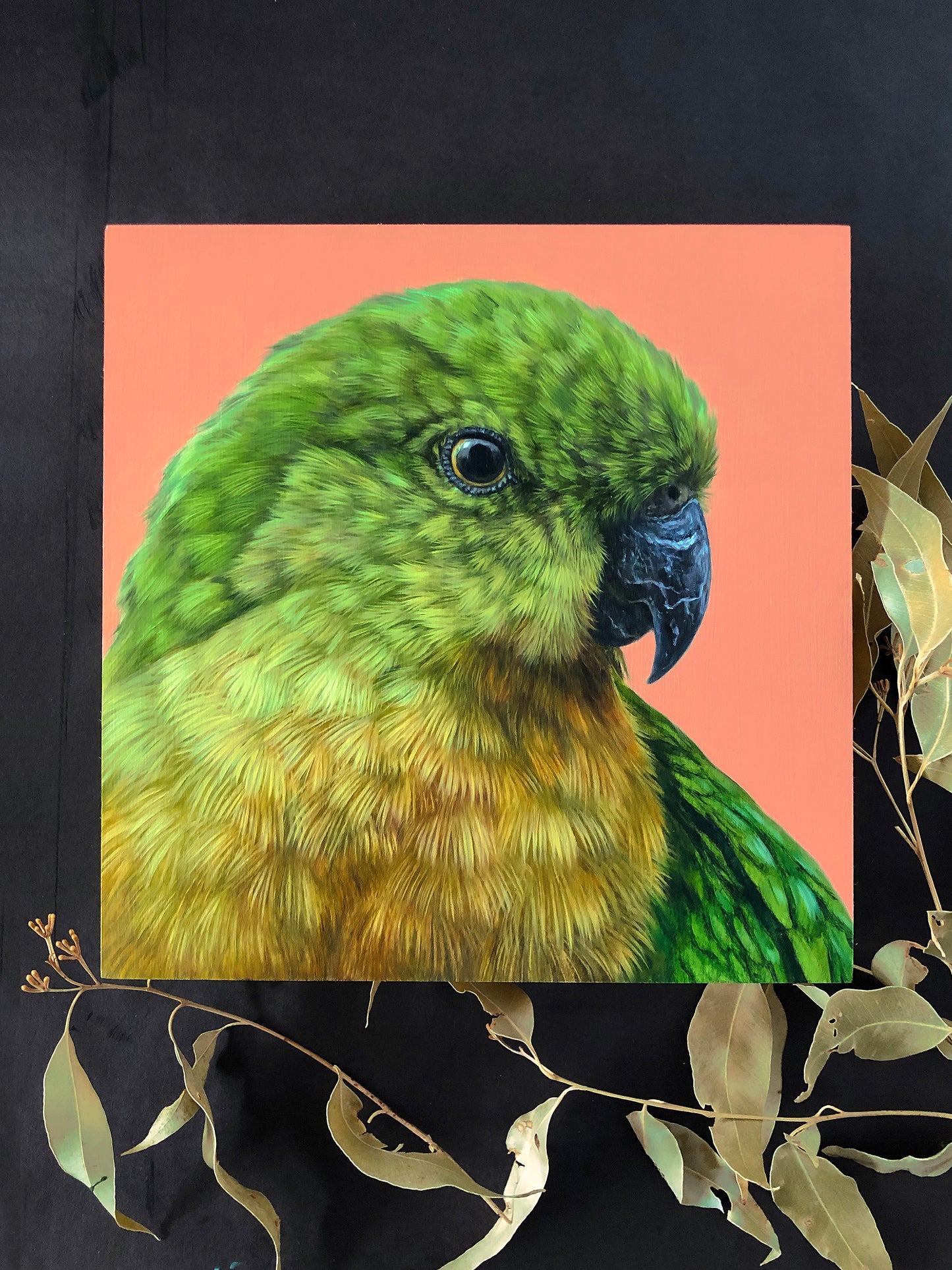 "King Parrot - Female" - 8x8"
