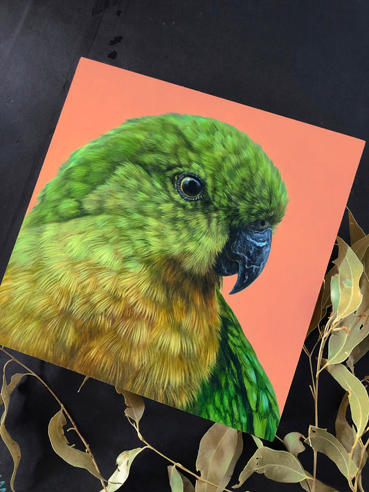 "King Parrot - Female" - 8x8"