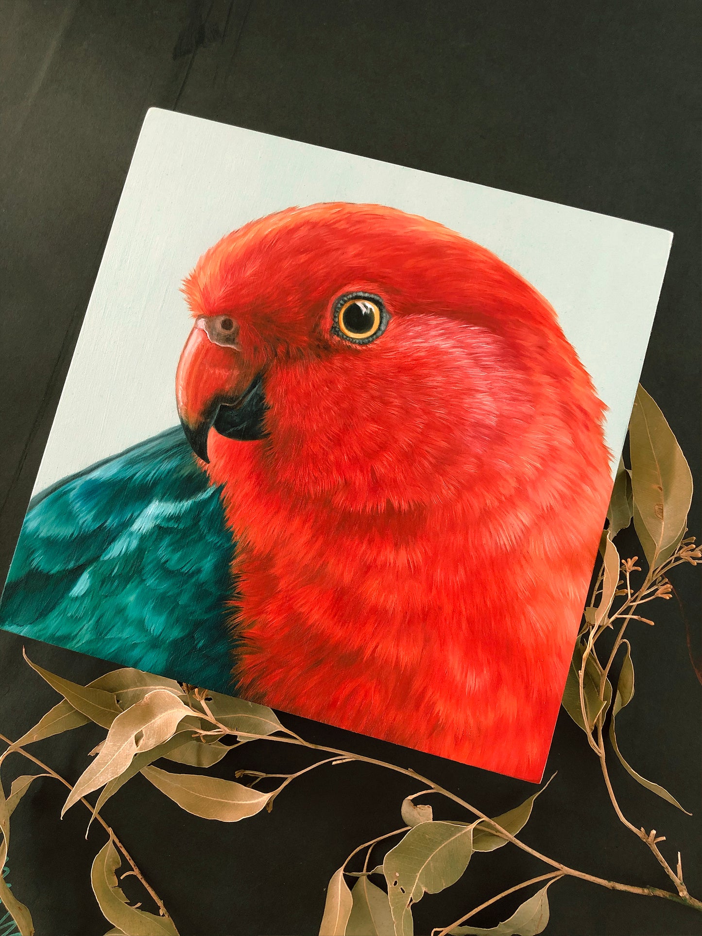 "King Parrot - Male" - 8x8"
