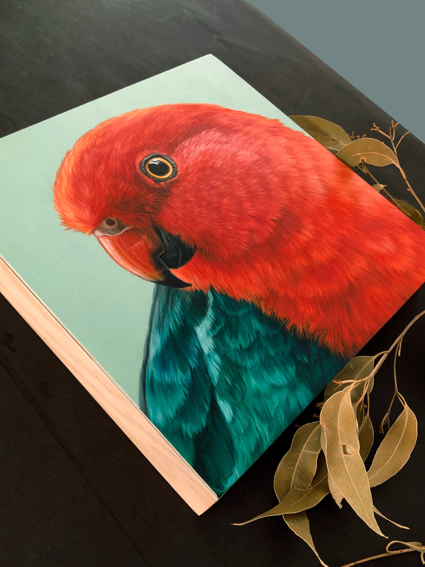 "King Parrot - Male" - 8x8"