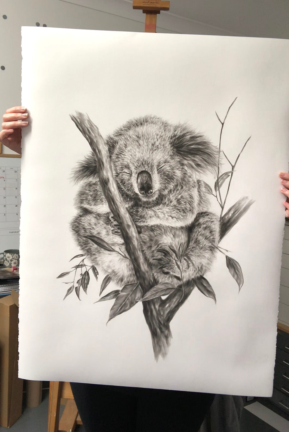 "Sleepy Koala" - 22 x 30"