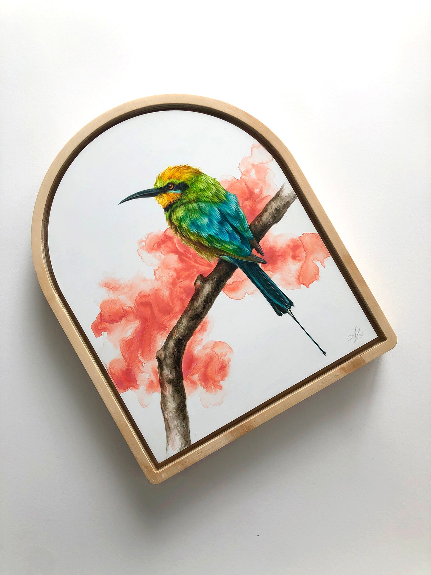 "Rainbow Bee-eater" - "9x11"