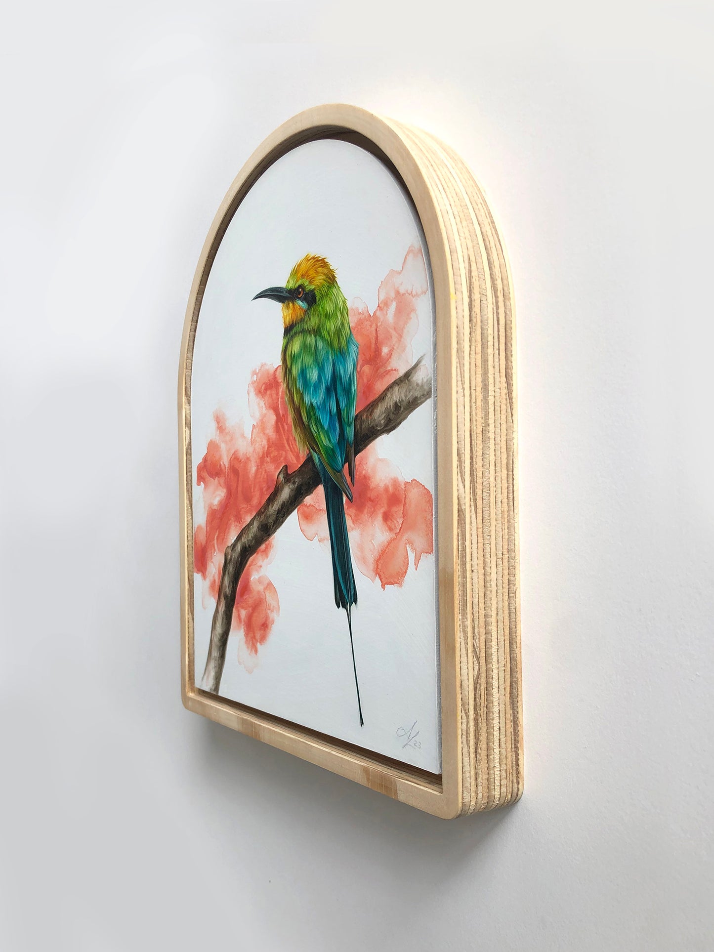 "Rainbow Bee-eater" - "9x11"