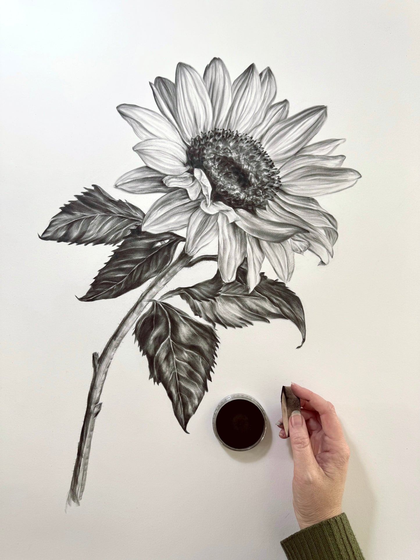 Sunflower - 22 x 30"