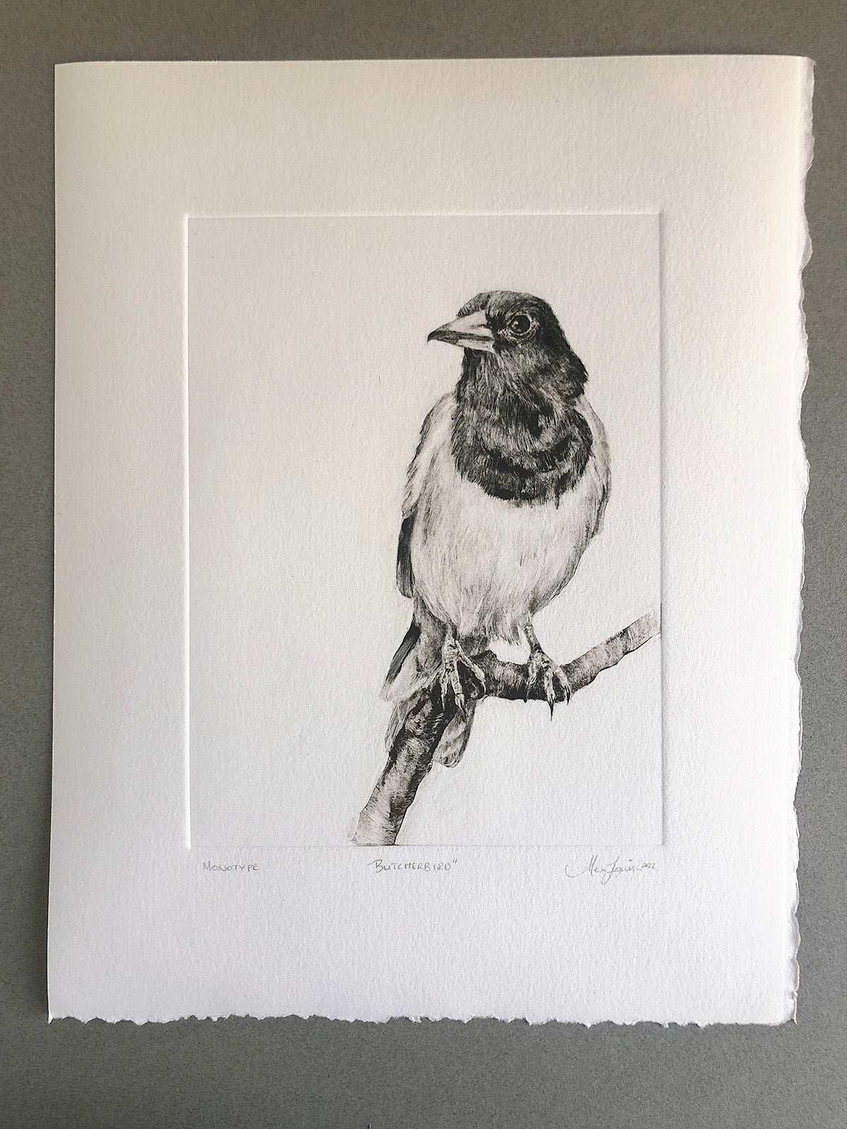 Butcherbird - Original Monotype