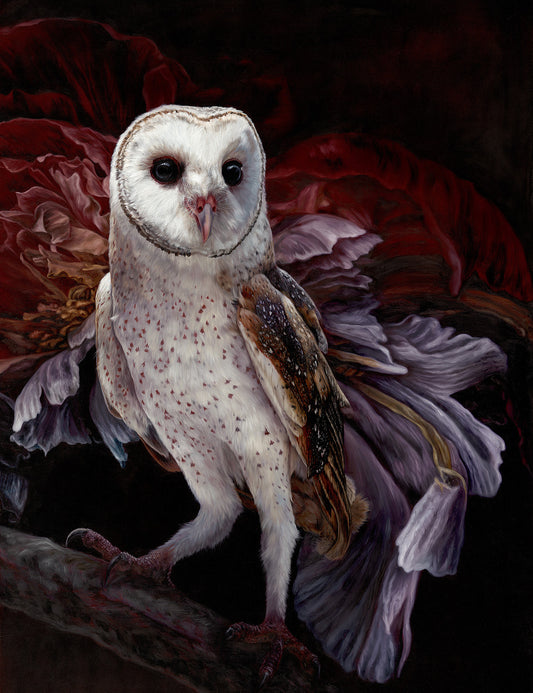 Barn Owl - "Huntress"