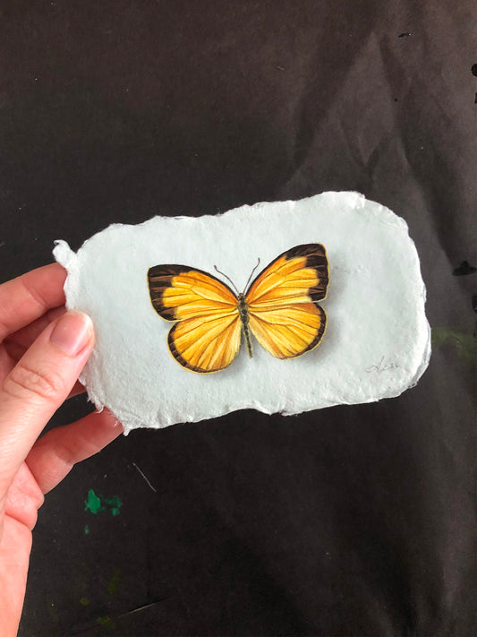 Butterfly on Handmade Paper #3 - 4.75 x 2.75"