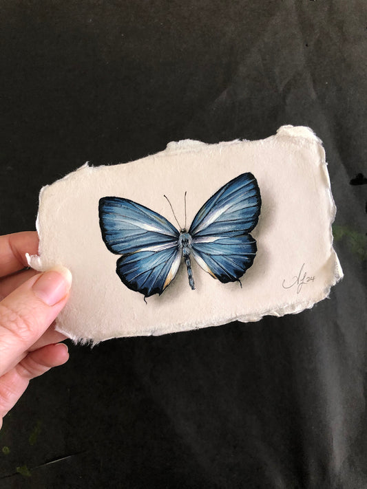 Butterfly on Handmade Paper #6 - 4.5 x 2.5"