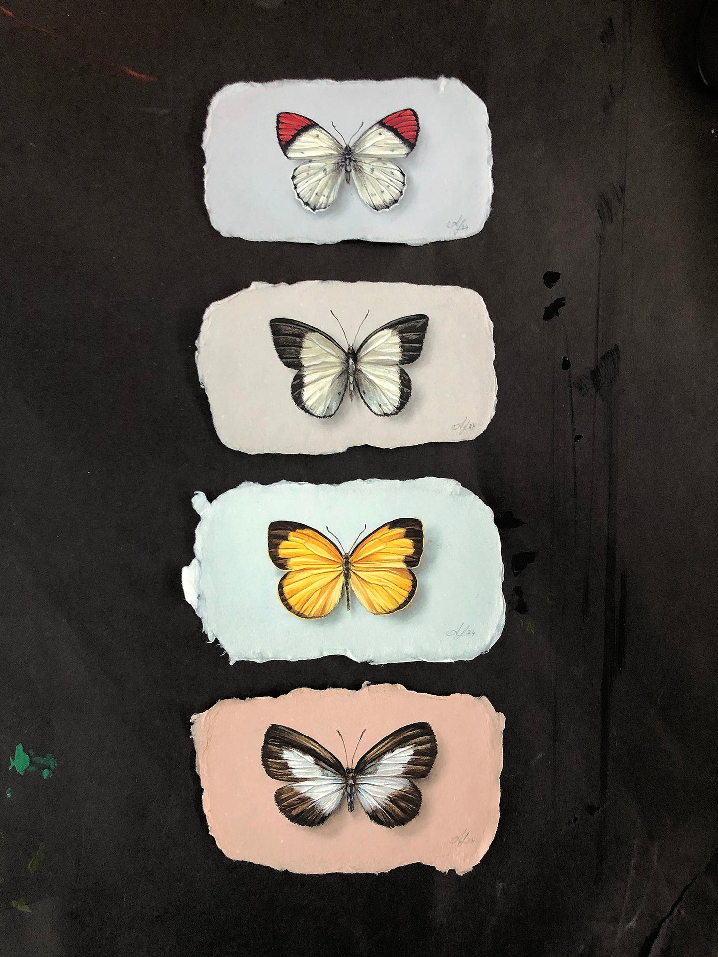 Butterfly on Handmade Paper #1 - 4.5 x 2.5"