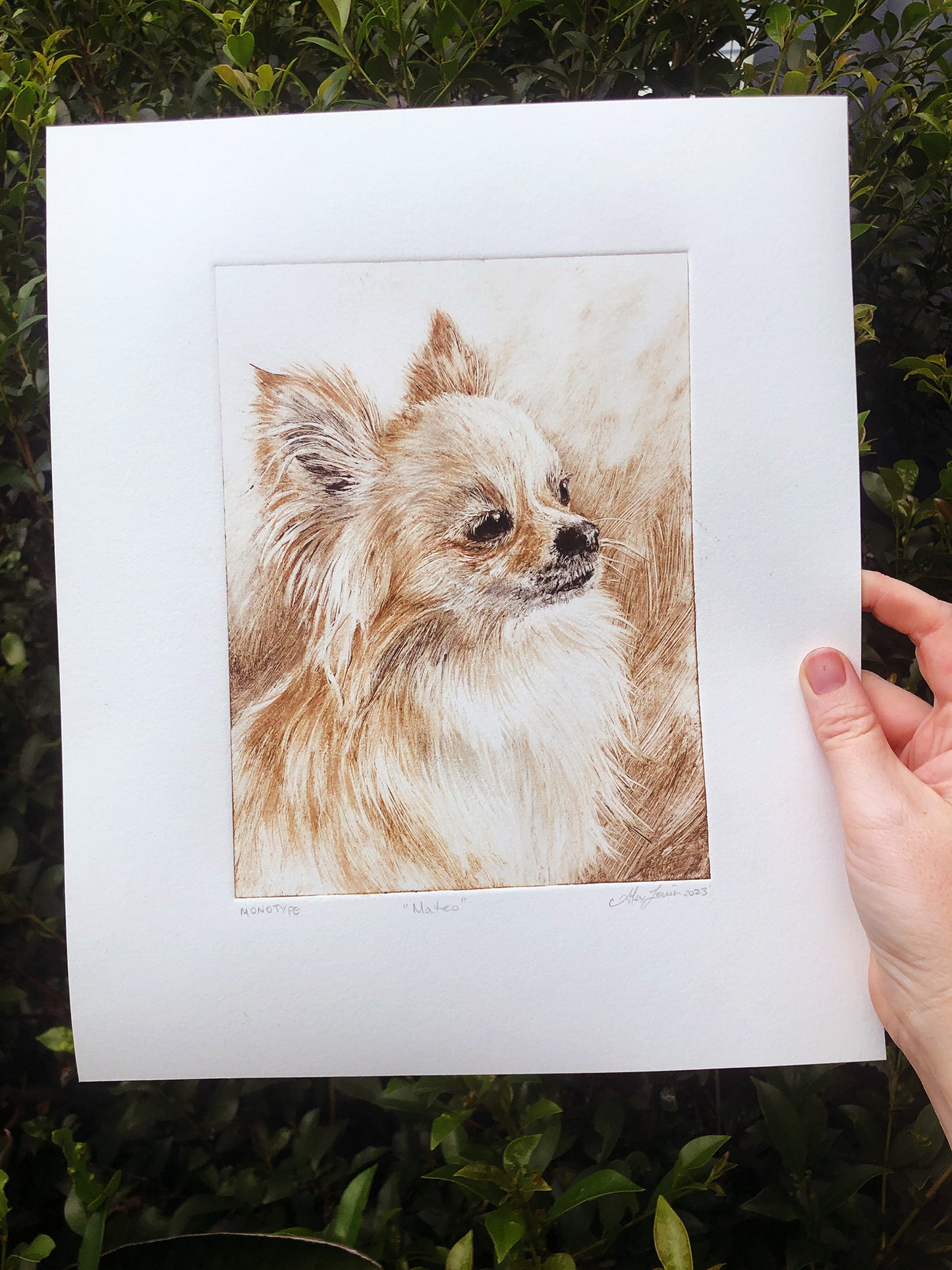 *Custom* Pet Portrait Monotype