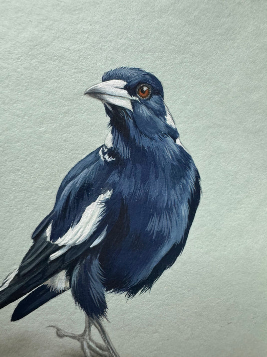 Magpie #1 - 5 x 7"