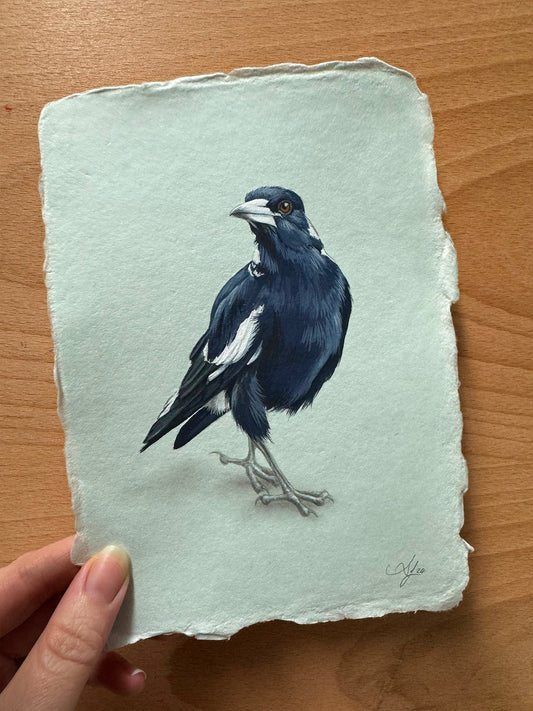 Magpie #1 - 5 x 7"