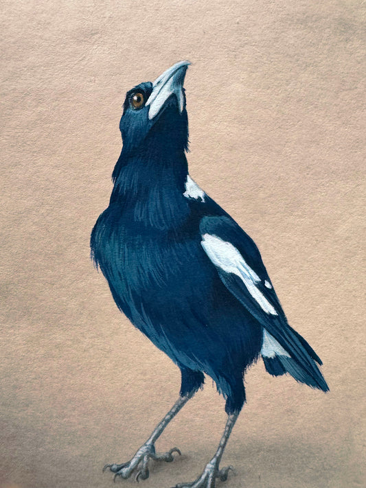 Magpie #2 - 4.75 x 6.75"