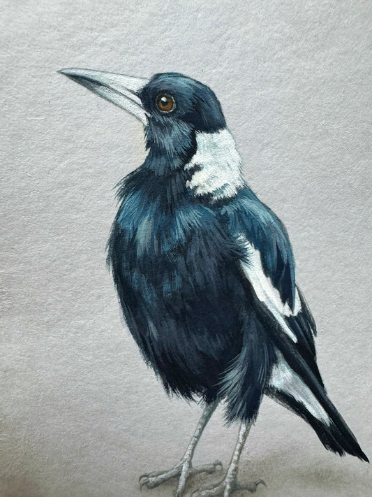 Magpie #4 - 4.75 x 6.5"