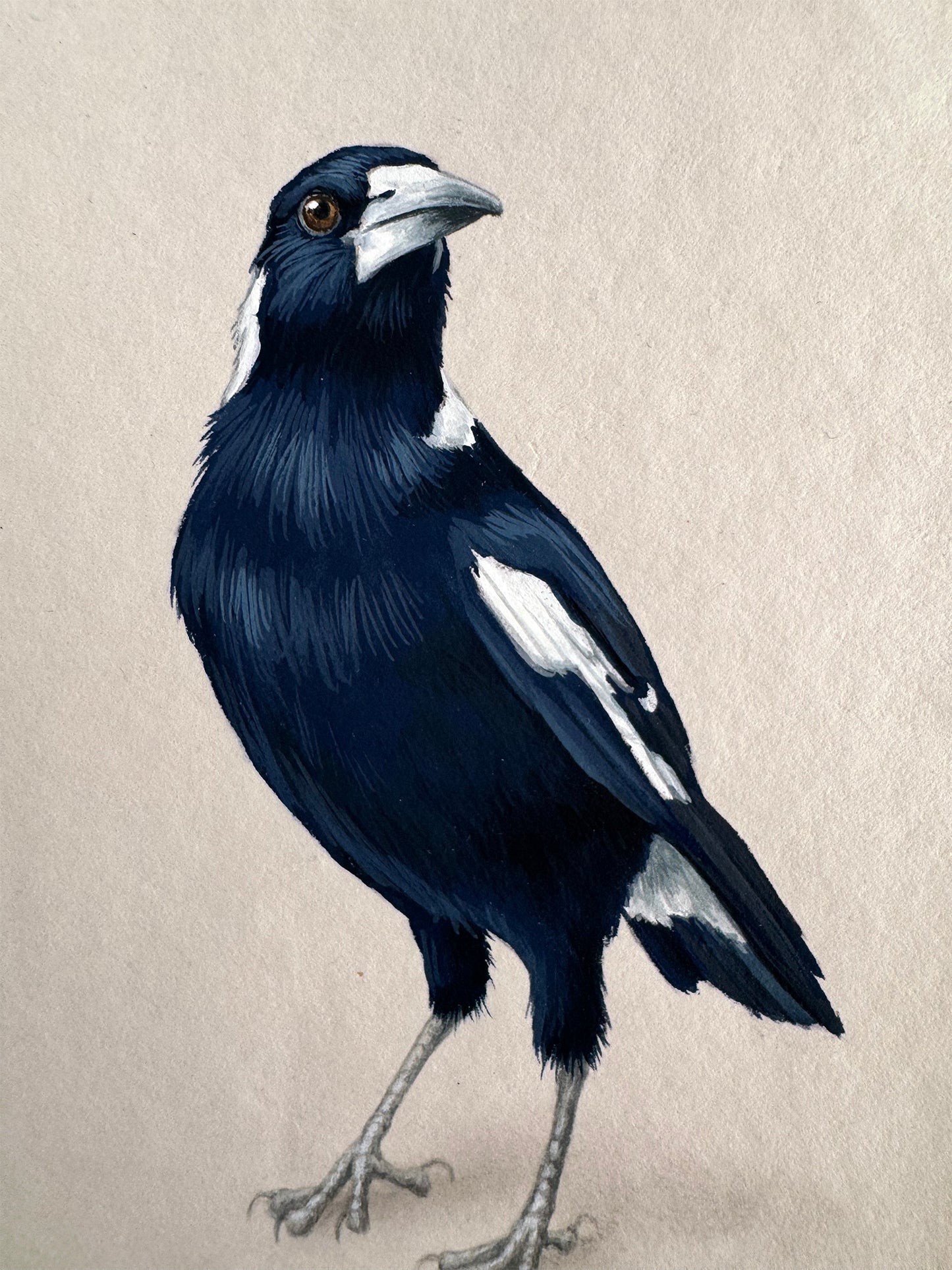 Magpie #5 - 4.5 x 6.5"