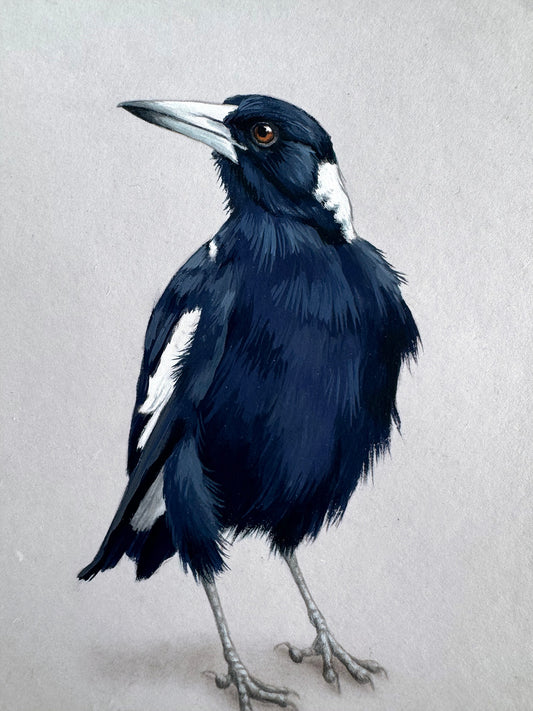 Magpie #6 - 4.75 x 7"