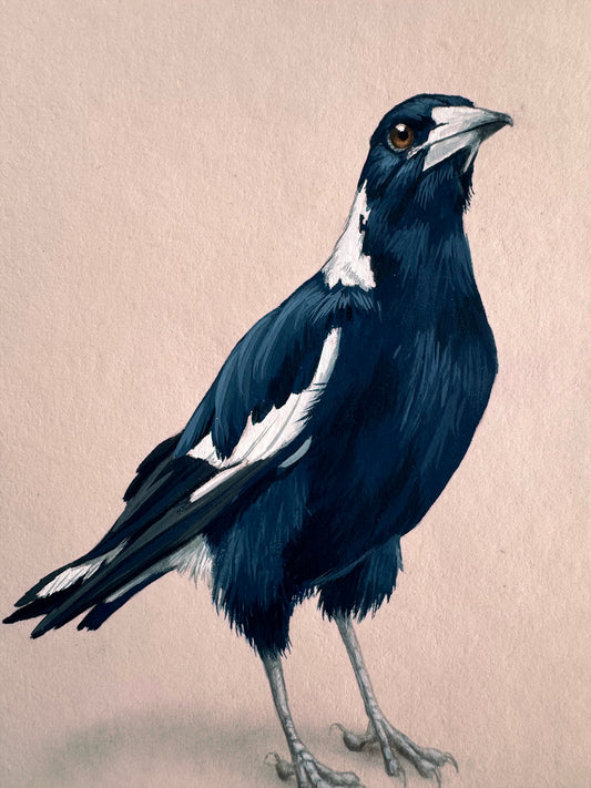 Magpie #7- 5 x 7"