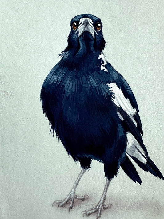 Magpie #8- 5 x 7"