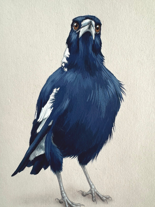 Magpie #9 - 4.75 x 6.75"