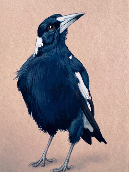 Magpie #10 - 4.75 x 6.75"