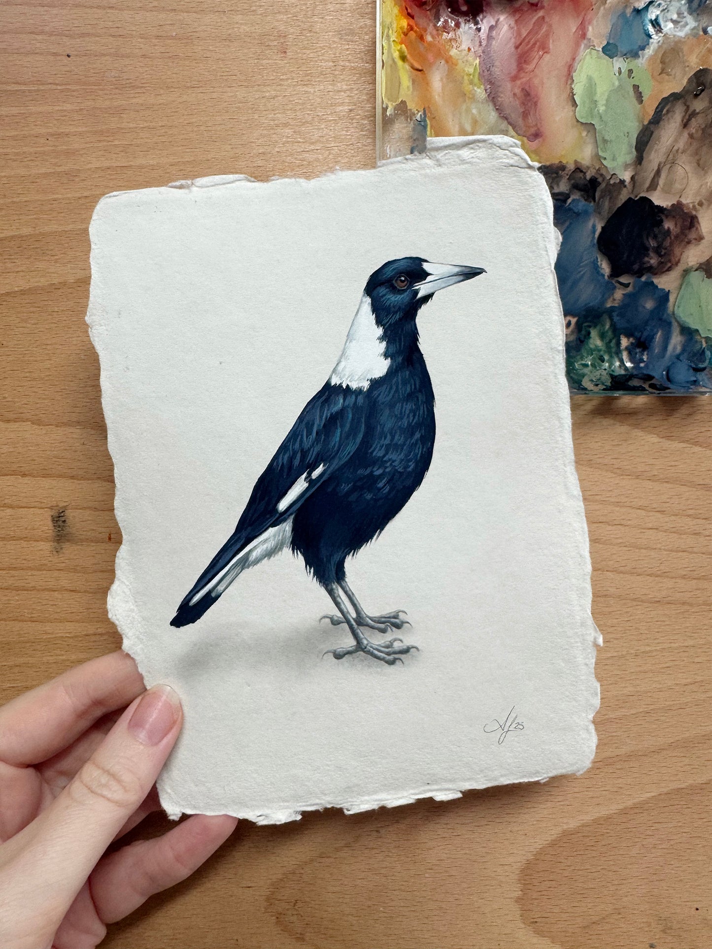 October Magpie #2 - 5 x 7"