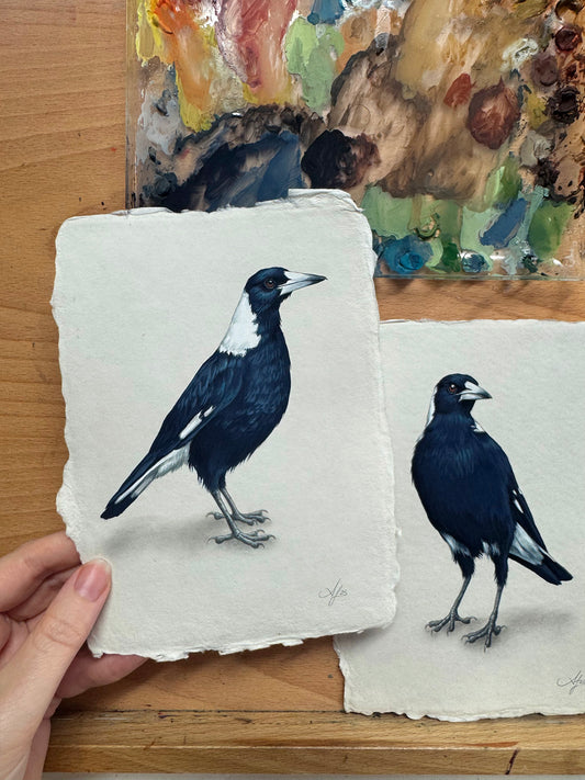 October Magpie #2 - 5 x 7"