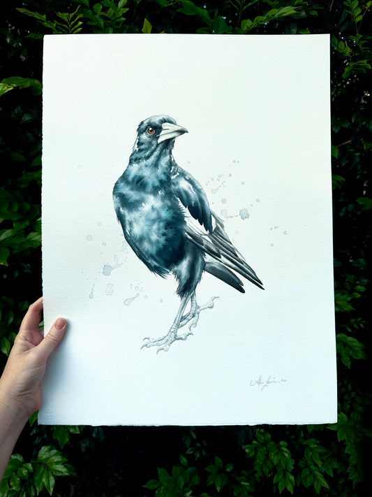 Magpie Looking Right - 15 x 20"