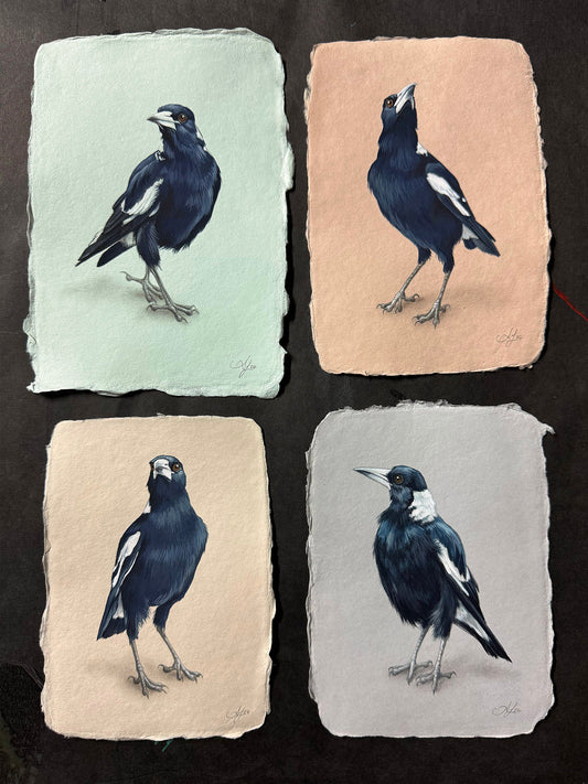 Magpie #3 - 4.5 x 6.25"