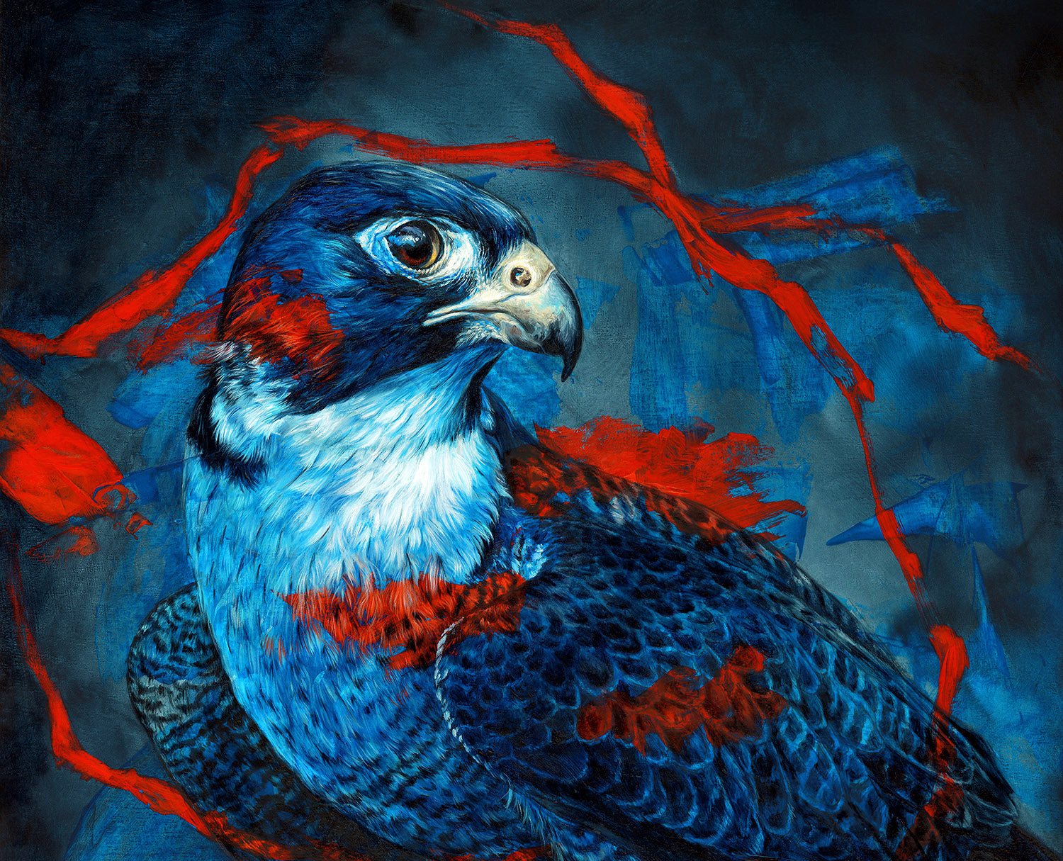 Peregrine Falcon artwork by Alex Louisa