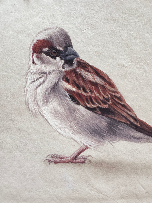 Cafe Sparrow #1 - 6.5 x 4.5"