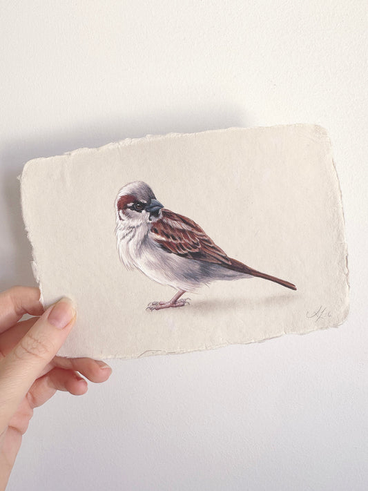 Cafe Sparrow #1 - 6.5 x 4.5"