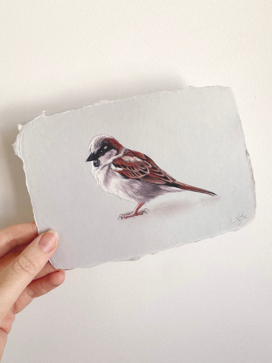 Cafe Sparrow #2 - 6.5 x 4.5"