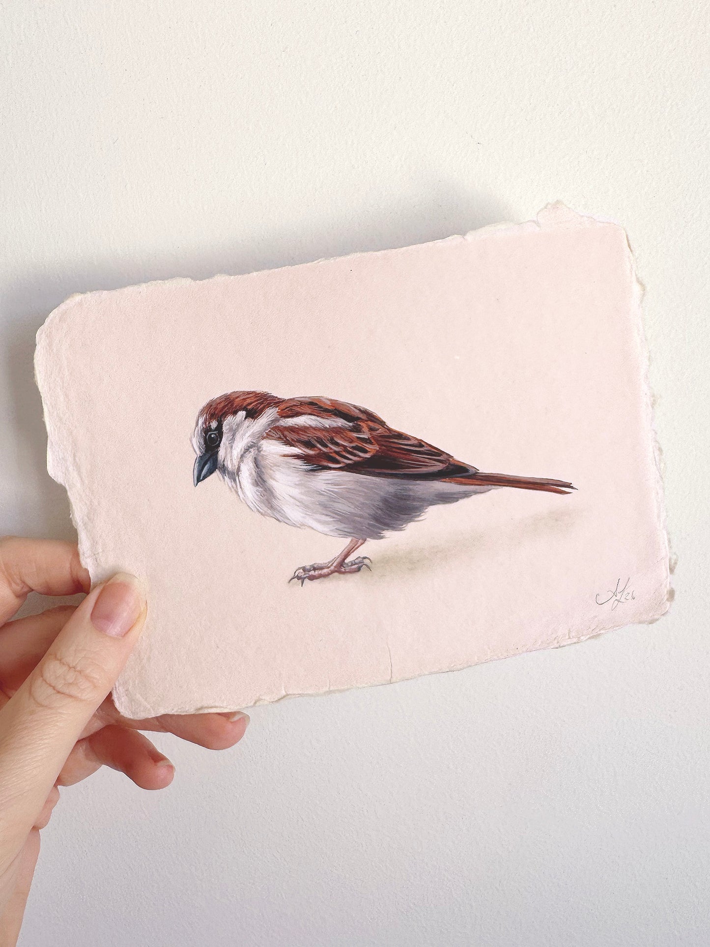 Cafe Sparrow #3 - 6.25 x 4.5"