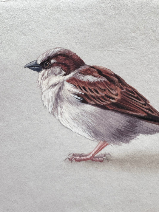 Cafe Sparrow #4 - 6.75 x 4.75"