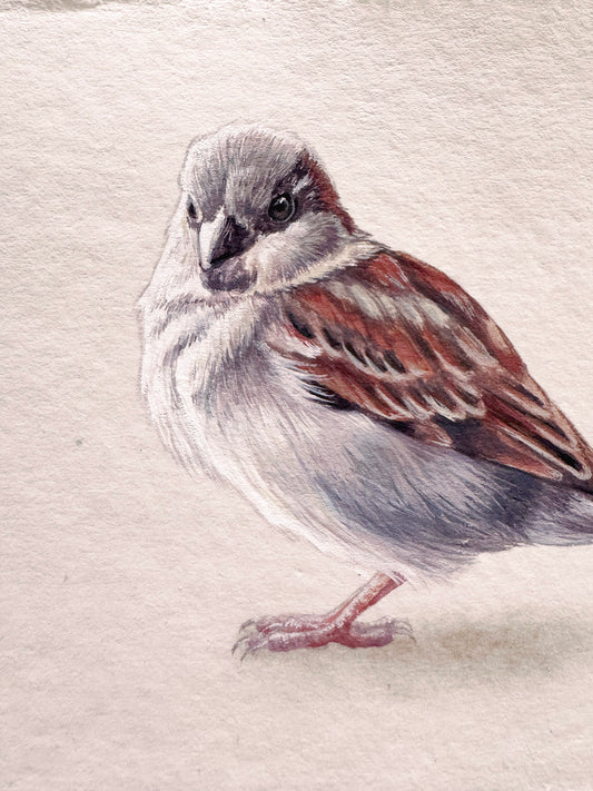 Cafe Sparrow #5 - 6.25 x 4.5"