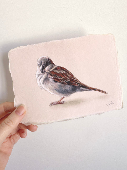 Cafe Sparrow #5 - 6.25 x 4.5"